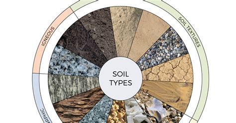 The Three Types Of Soil Used For Wine Grape Production