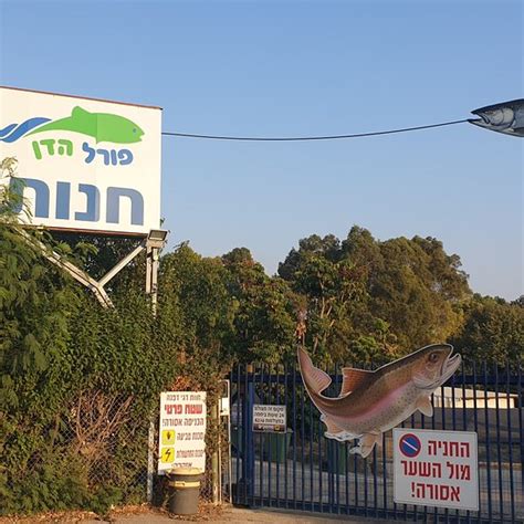 The Top 10 Things to Do Near Kibbutz Lavi Hotel - Tripadvisor