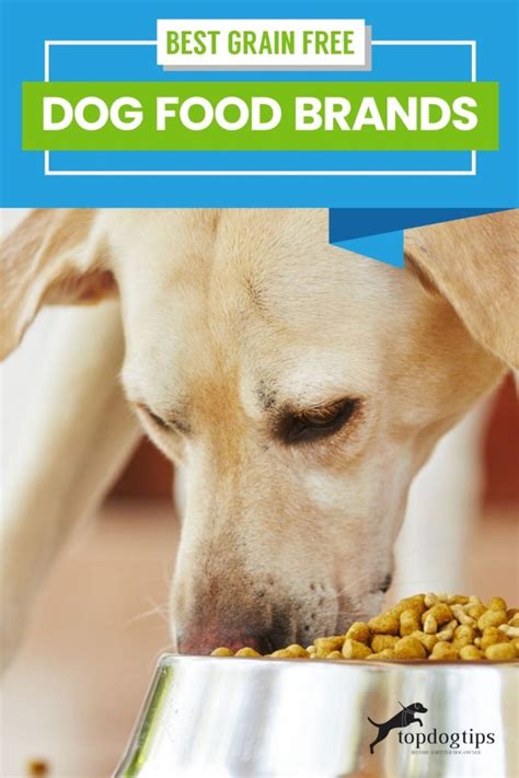 The Top 13 Affordable Grain-Free Dog Foods of 2024