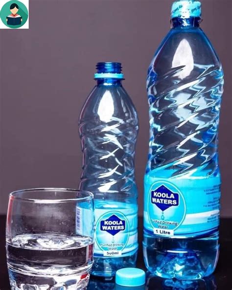 The Top Reasons To Start A Business Selling Bottled Water