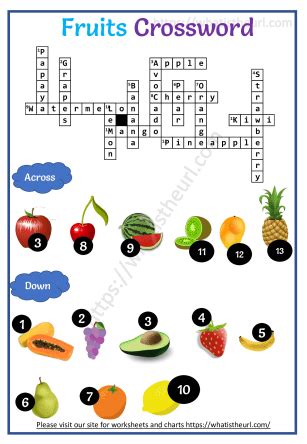 The Tough Outer Skin Of Certain Fruit Crossword Clue