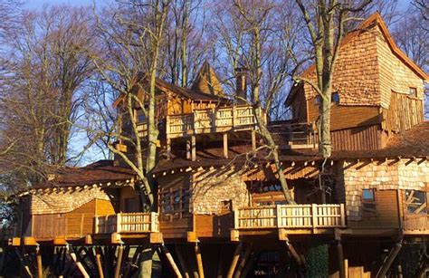 The Treehouse Restaurant at the Alnwick Garden - Tripadvisor