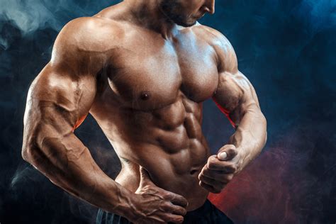 The Truth About Building Muscle: The Science of Strength, Size