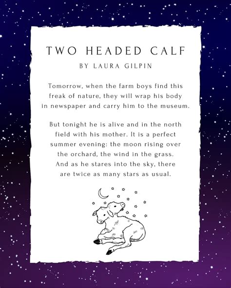 The Two-Headed Calf by Laura Gilpin The Writer