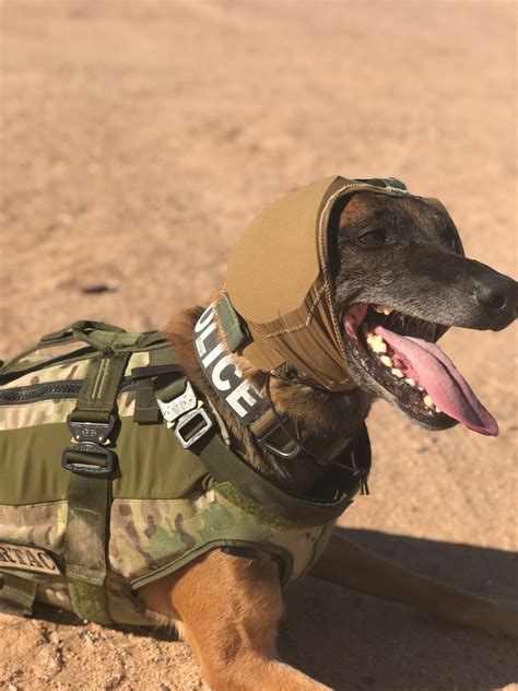 The U.S. Army Is Developing Better Hearing Protection for Its Dogs ...