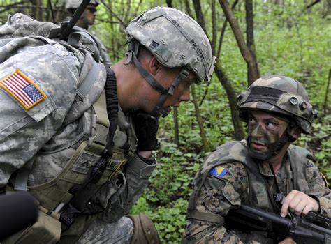 The U.S. Army in Bosnia and Herzegovina