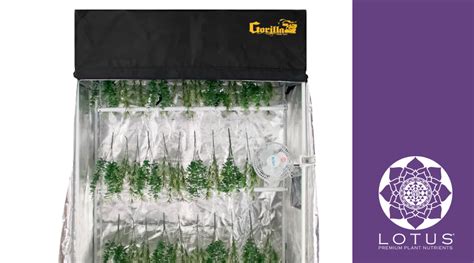 The Ultimate Guide: Unveiling the Wonders of Weed Drying Tents