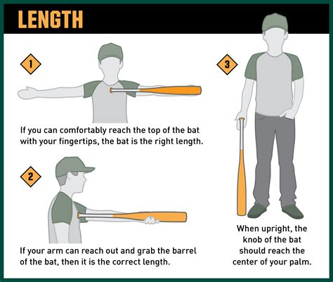 2024 The Ultimate Guide to Boys Baseball Bats-marketplaceplus.shop