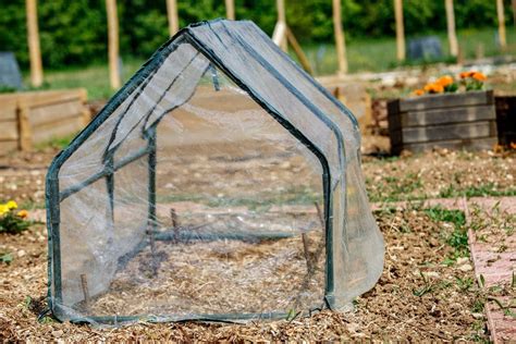 The Ultimate Guide to Elevate Your Gardening Experience with Big Grow Tents