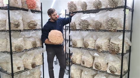 The Ultimate Guide to Farming Mushrooms Oak and Spore