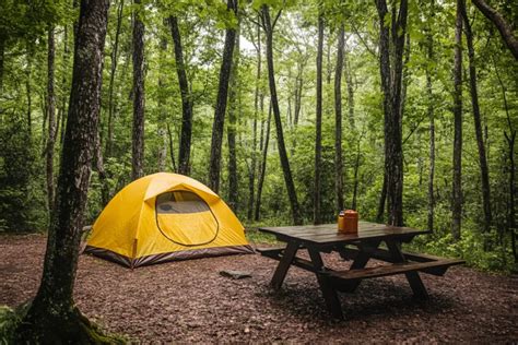 The Ultimate Guide to Finding the Best Easy Up Tent