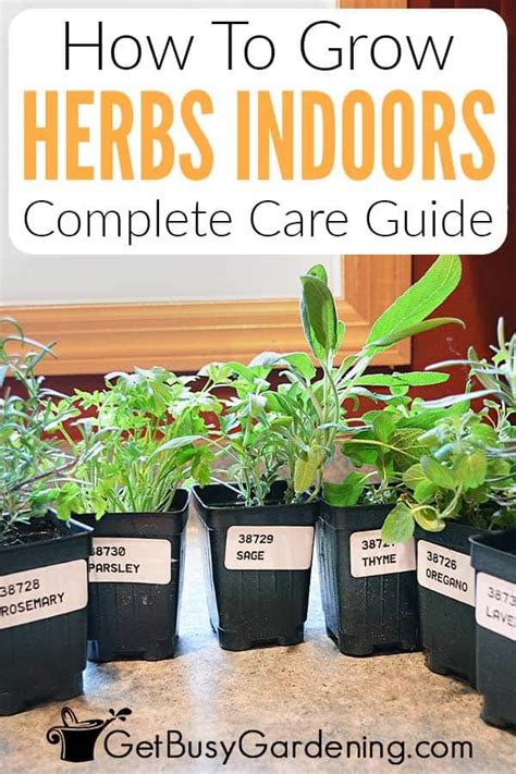 The Ultimate Guide to Thriving Indoor Gardens with a 3 by 3 Grow Tent