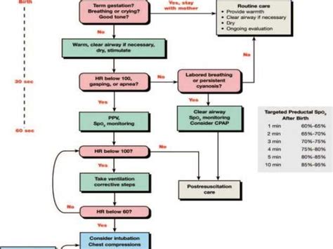 The Ultimate NRP Flow Diagram for 2020 Your Essential Guide