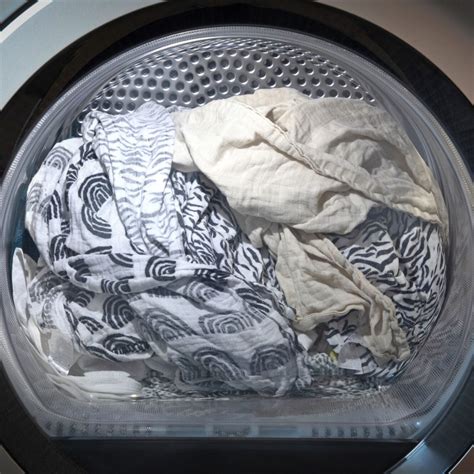 The Unsung Hero of Your Dryer: Meet the Mighty Drum Bearing