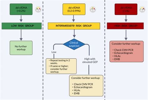 The Use of cfDNA Testing for Rejection Surveillance in Heart