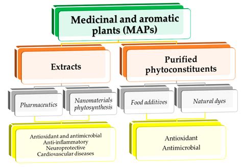 The Utilization of P-N Compounds by Plants: II. The Role of ...