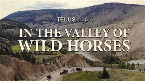 The Valley of Wild Horses