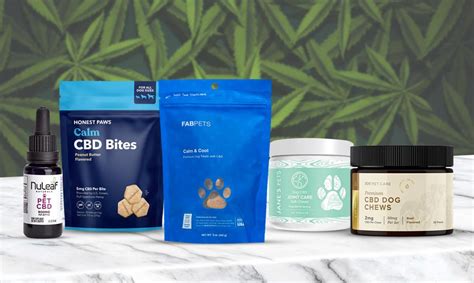 The Very Best Cbd For Dogs