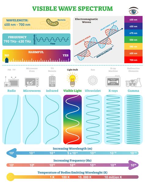 The Visible Spectrum Overview With Colors Listed in Order of