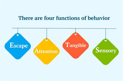 The Volatility Fingerprint: Step-Function-Like Behavior