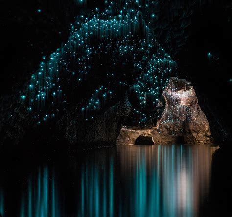 The Waitomo Caves: New Zealand