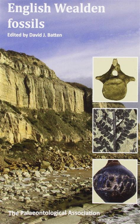 The Wealden Bible: English Wealden Fossils, 2011