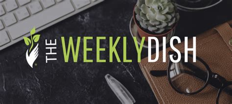 The Weekly Dish: The #1 Keto Newsletter - Perfect Keto