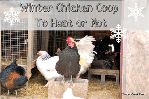 The Winter Chicken Coop - Timber Creek Farm