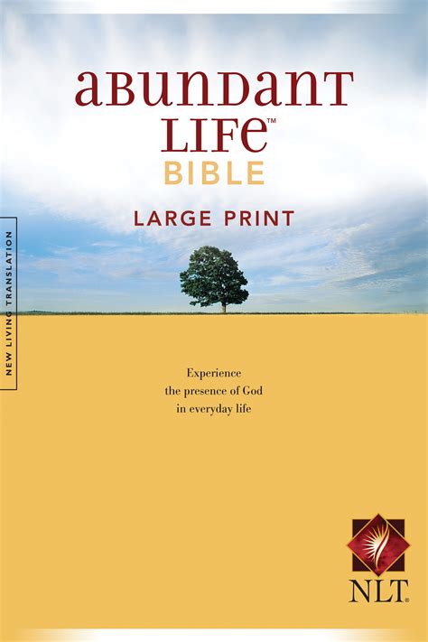 The abundant life bible amplifier a practical guide to abundant christian living in the book peter jude. - A birds eye view of life with add and adhd advice from young survivors.