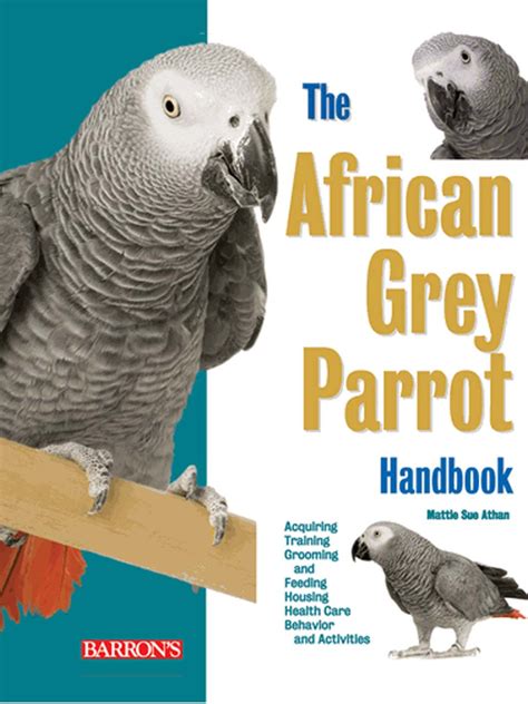 The african grey parrot handbook the african grey parrot handbook. - Manuale di laboratorio per anatomia e fisiologia 4a edizione gratis.