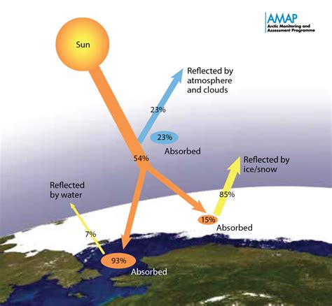 The albedo of Arctic leads in summer - CORE