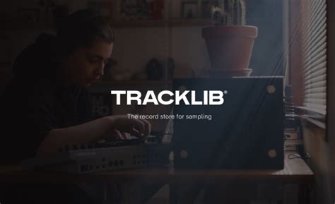 The alchemist details sample.  original sound - Tracklib.  Review its key character...