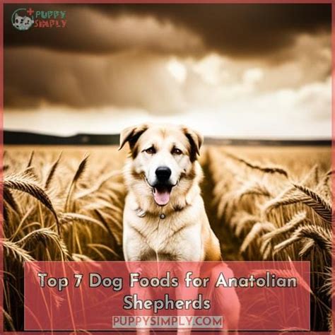 The anatolian shepherd good food guide. - Recovery from eating disorders a guide for clinicians and their clients.