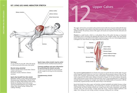 The anatomy of stretching second edition your illustrated guide to flexibility and injury rehabilitation. - Manuale di classificazione del crimine di john douglas.