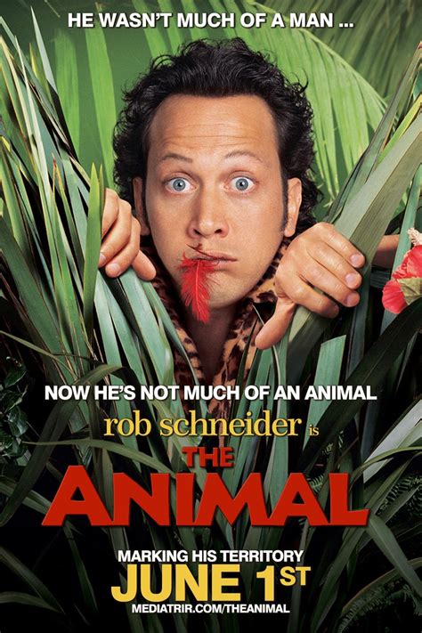 The animal english movie. Jun 1, 2001 · Purchase The Animal on digital and stream instantly or download offline. He might not look like much, but it's what's inside that counts. Comic genius Rob Schneider (Deuce Bigalow: Male Gigolo, Big Daddy), TV's Survivor Colleen Haskell, John C. McGinley (Any Given Sunday, The Rock) and Edward Asner (The Bachelor, JFK) star in the most outrageous and hysterical comedy of the year. When evidence ... 