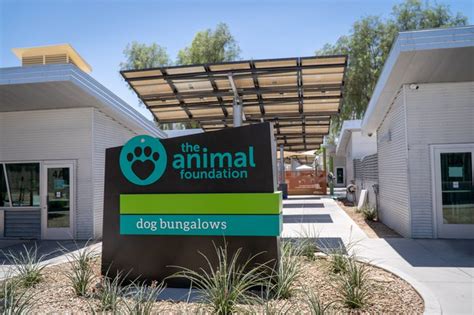 The animal foundation nevada. Clark County’s government-funded animal shelter, The Animal Foundation (TAF), inflated its population projections to discourage animal control officers from … 