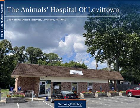 The Animals' Hospital of Levittown lo