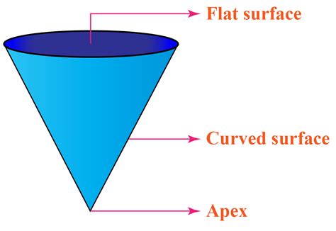 The cone's pointy end is known as the apex or vertex. The flat surface is circular and known as the base. Cones can be seen in a wide range of daily items. The following are some examples: A funnel is conical in shape. Ice-cream cones. Conical barriers on the roads.. 