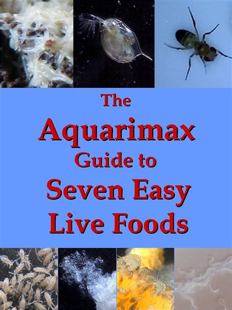 The aquarimax guide to seven easy live foods. - Denon dvd 2910 dvd 955 descarga manual de servicio.