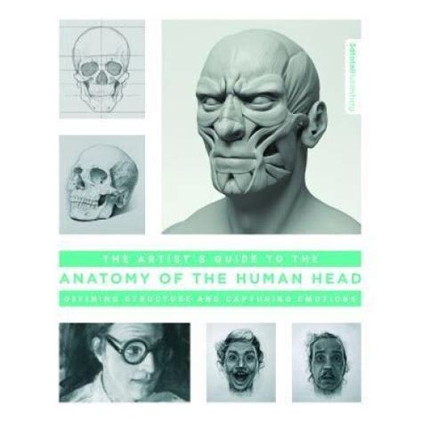 The artist s guide to the anatomy of the human head defining structure and capturing emotions. - My name is parvana study guide.