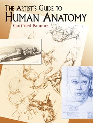The artists guide to human anatomy dover anatomy for artists. - Ranger handbuch u s armee ranger handbuch sh 21 76.