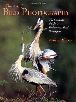 The at of bird photography the complete guide to professional field techniques practical photography books. - Pitito y otras gentes de bien vivir.