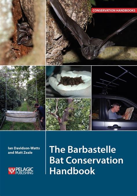 The barbastelle bat conservation handbook by ian davidson watts. - El compañero del poeta apos una guía de los placeres de escribir poesía.