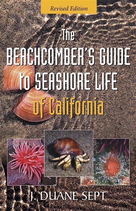 The beachcombers guide to seashore life of california revised. - Van het toezicht op het onderwijs.