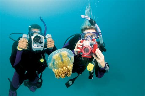 The beginner apos s guide to underwater digital photography. - Trois figures du diable à la renaissance.
