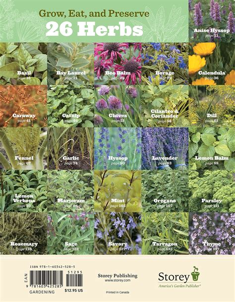 The beginners guide to edible herbs 26 herbs everyone should grow and enjoy. - Free download mazda 323 workshop manual.