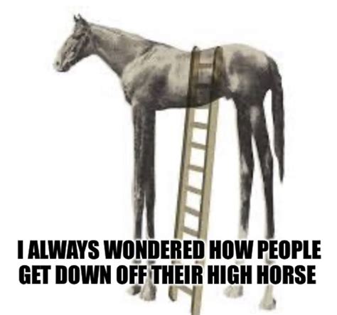 The best High Horse memes :) Memedroid