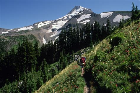 The best Hiking in and near Sixes, Oregon