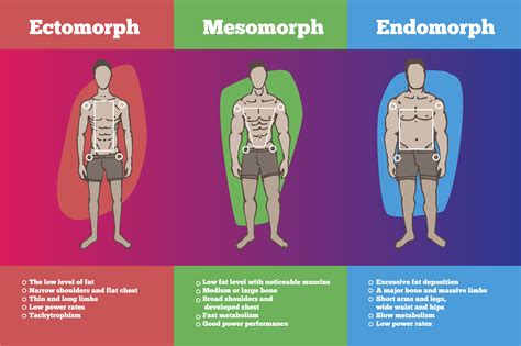 The best exercises for people with an ectomorph body type Tom s Guide