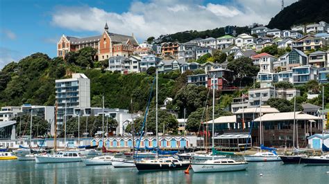 The best of Wellington